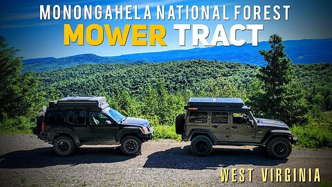 Breathtaking Views and Epic Campsites | Overlanding the Mower Tract | West Virginia