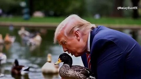 Cats & Ducks For Trump...