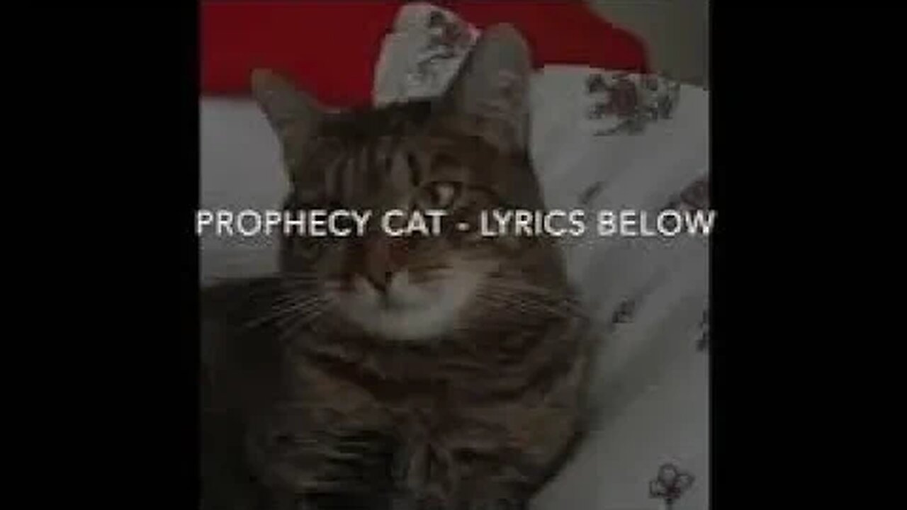 Finally - The Prophecy is True Cat with English Lyrics!