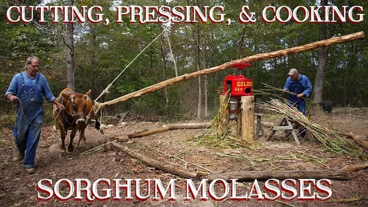 Sorghum Molasses - Pressing and Cooking - The FHC Show, ep 30