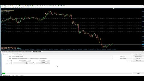 How does binary risk work in Taurus Super