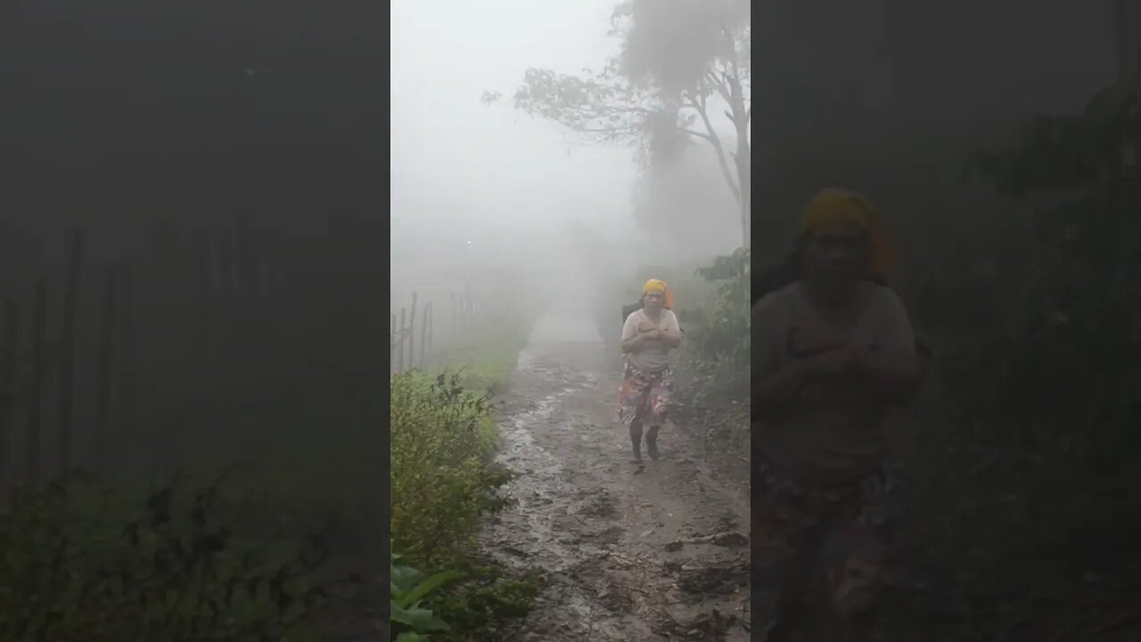 Pengorbanan seorang ibu untuk anak2nya sebagai Petani.