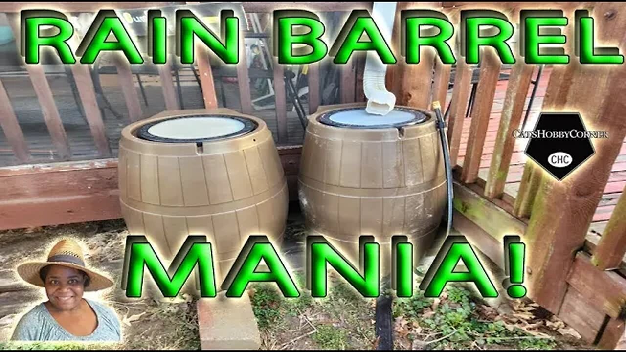 #raincatcher4000 #fcmprainbarrel Mania - #Catshobbycorner