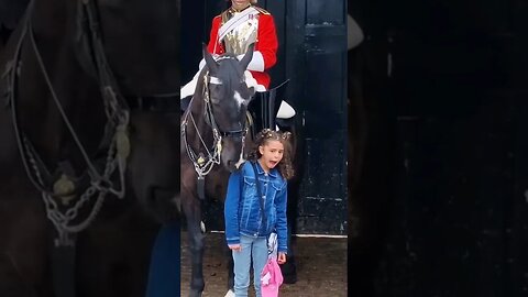 The horse never even touched you #horseguardsparade