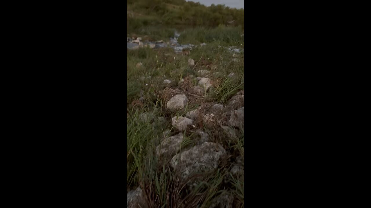 Cleaning the river