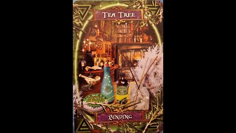 #44 Witches' Kitchen Oracle Cards Tea Tree