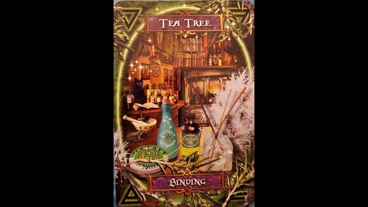 #44 Witches' Kitchen Oracle Cards Tea Tree