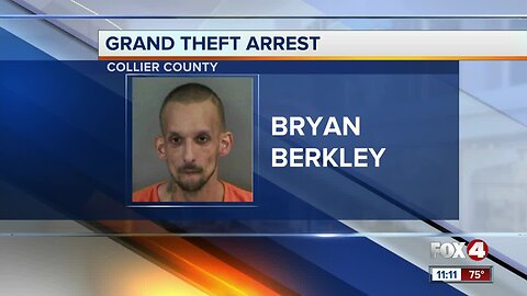Man claims he broke into home because alligators were chasing him in Naples