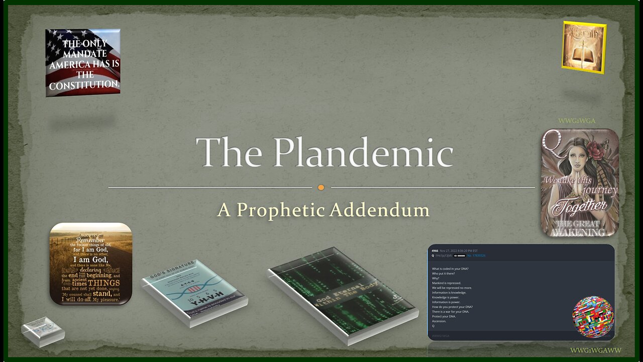 The Plandemic ~ A Prophetic Addendum