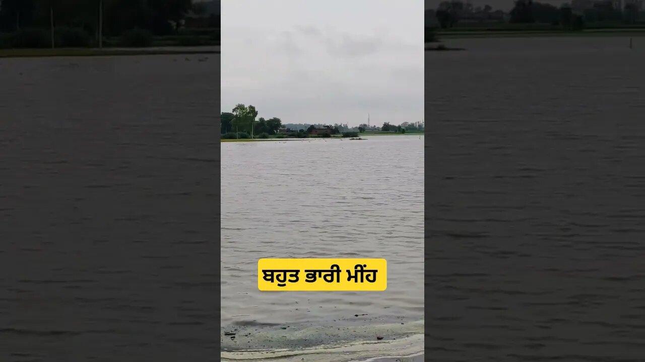 #shorts #viralvideo #shortvideo #ਪਿੰਡ #todayweather