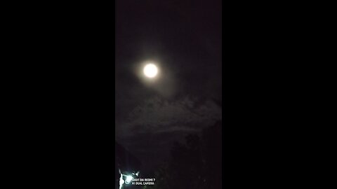 The Moonlight