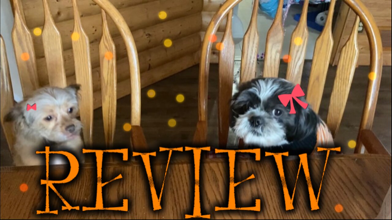 Thrills & Chills Pumpkin Patch Bites Dog Treat Review
