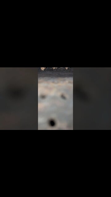 cleaning the burn pot of the pellet stove. Ready for winter.