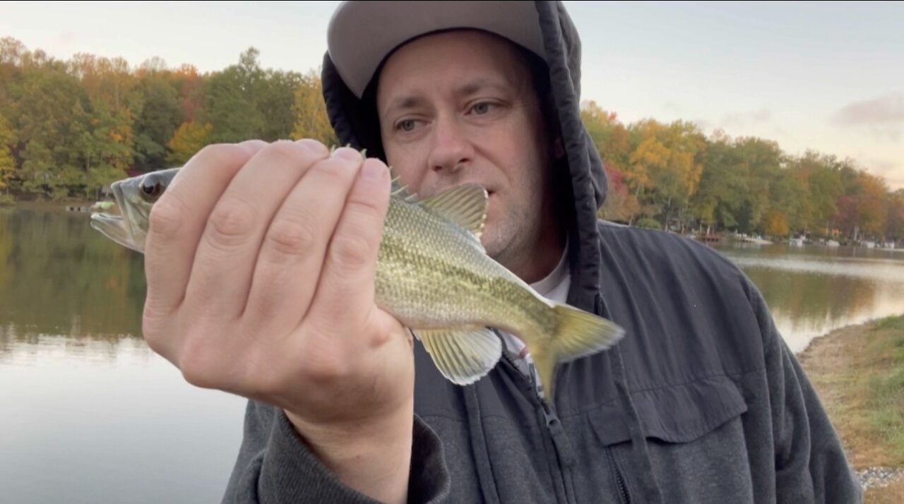 Family fun bass fishing