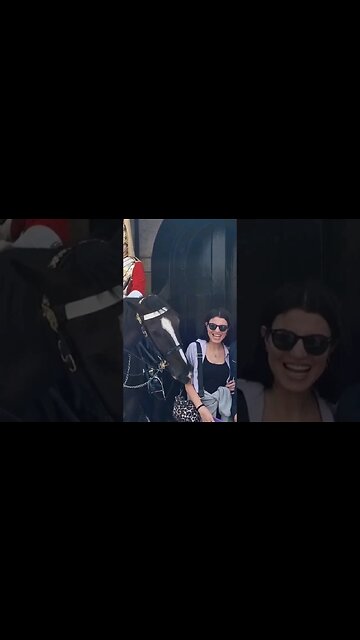 No one ever thinks the horse will bite them #horseguardsparade