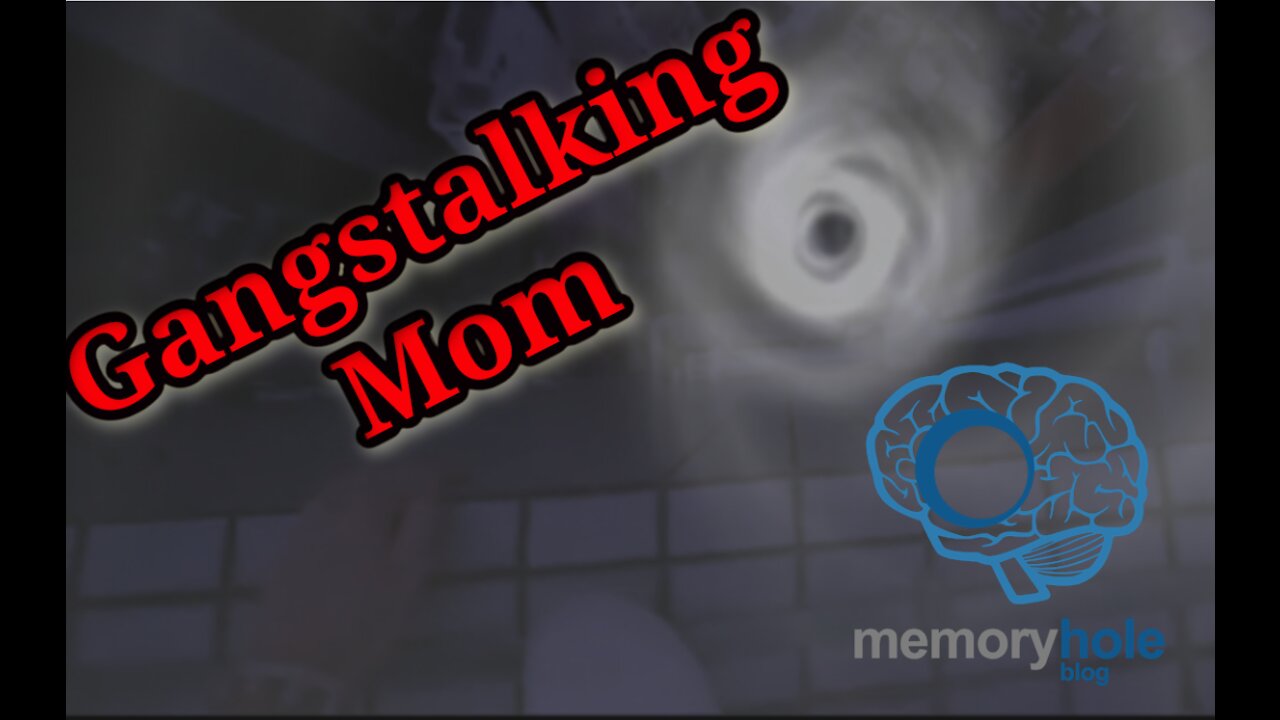 Gangstalking Mom