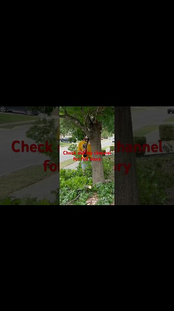 #lawn #lawncare #mowing #tree #trimmingmachine #home #reelmower #earth #prune #tacos #dog #dove #he