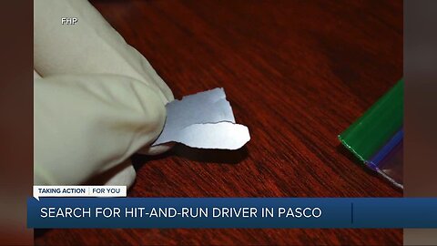 26-year-old pedestrian killed in hit-and-run crash in Pasco County