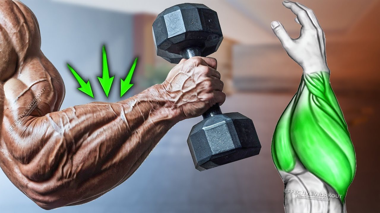 Build Huge Forearms Grow Fast (5 Effective Exercise)