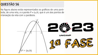 QUESTÃO 56 : VESTIBULAR UNICAMP 2023