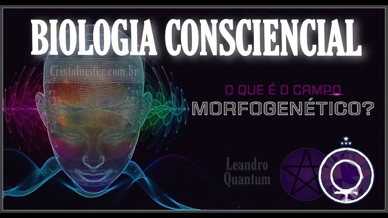 Rupert Sheldrake e os Campos Morfogeneticos - Tudo é Onde e Partícula ao mesmo tempo