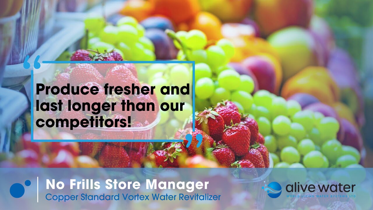 No Frills Store Manager Case Study