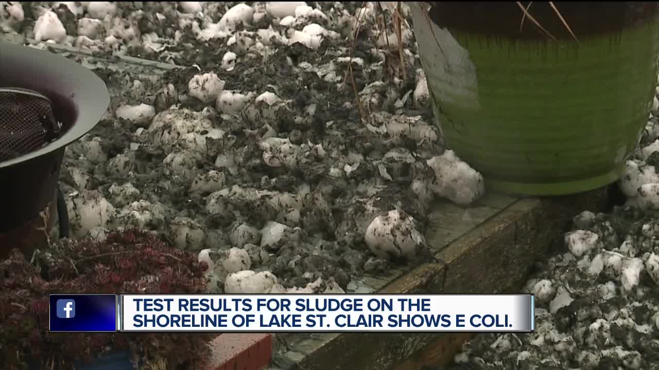 Taking Action For You: 7 Action News' test results prove E. coli in Lake St. Clair sludge