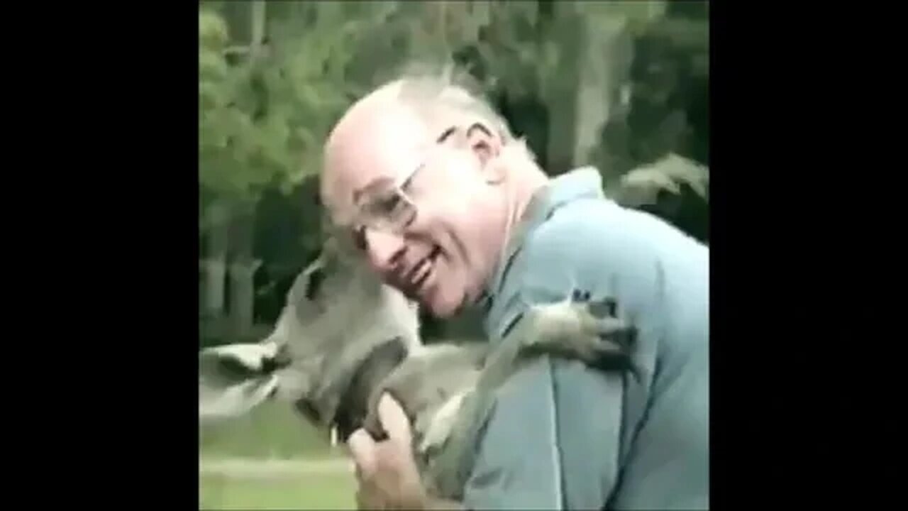Animal love to man, YouVlog_Video