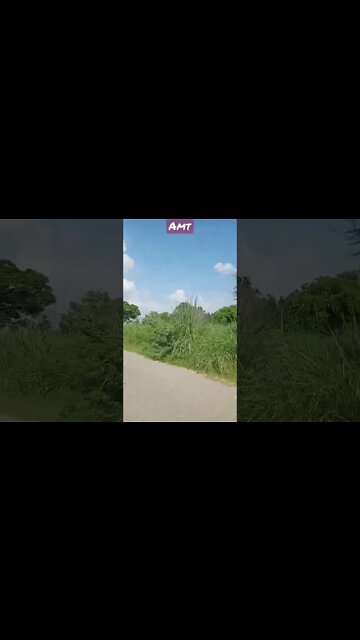 main pal 2 pal ka sathi hoo