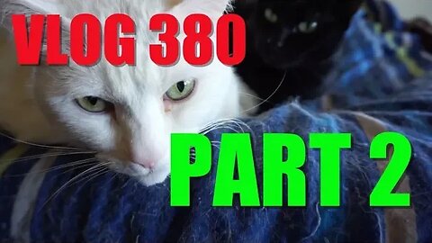 VLOG 380 PART 2: The Fly zapper & Viewer Mail!