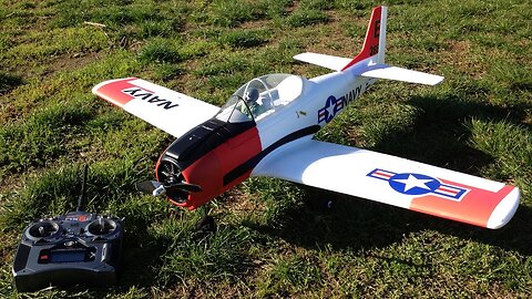 Parkzone T-28 Trojan Parkflyer with Navy Paint Scheme Flying Around in Berry Fields