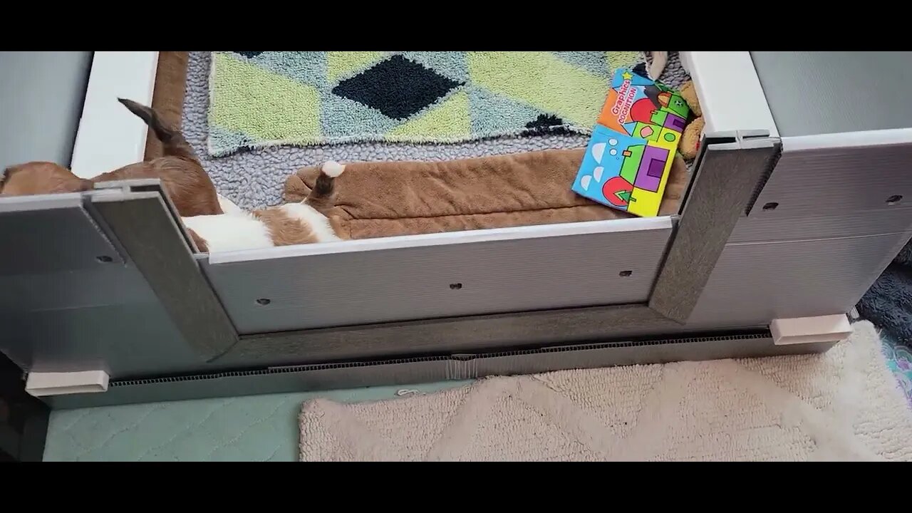 T Litter - Busting Outta Herr