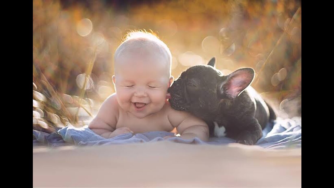 Dog teaches cute baby to crawl