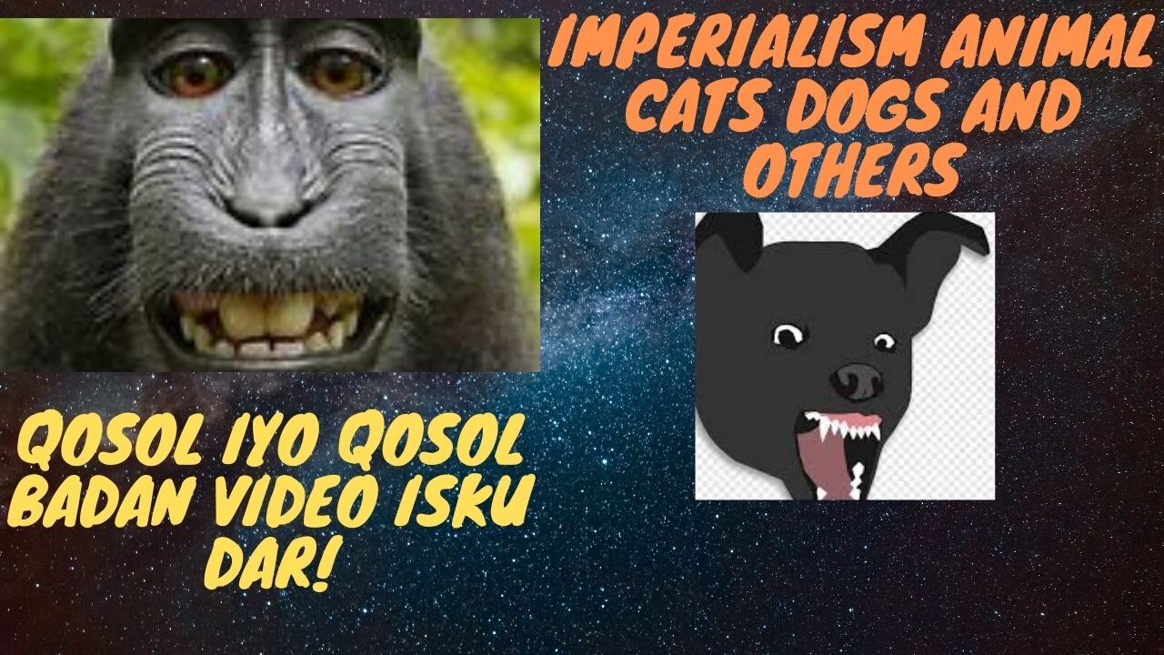 QOSOL IYO QOSOL BADAN VIDEO ISKU DAR!