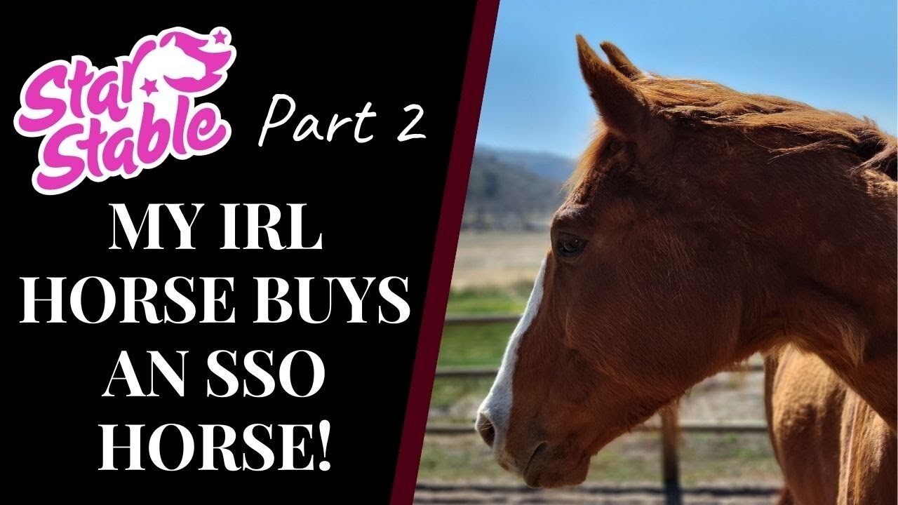 MY IRL HORSE BUYS MY NEXT STAR STABLE HORSE! { Part 2 } Star Stable Quinn Ponylord