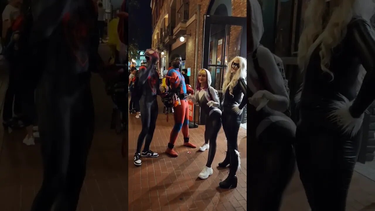 Miles Morales | Spider Gwen | Black Cat