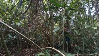 solo survival __ membangun shelter, masak, makan,eksplor, dan tidur nyenyak di hutan _3