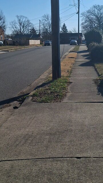 At It Again (thedic's demons in charge)