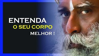 COMO ENTENDER O NOSSO MECÂNISMO, SADHGURU DUBLADO, MOTIVAÇÃO MESTRE