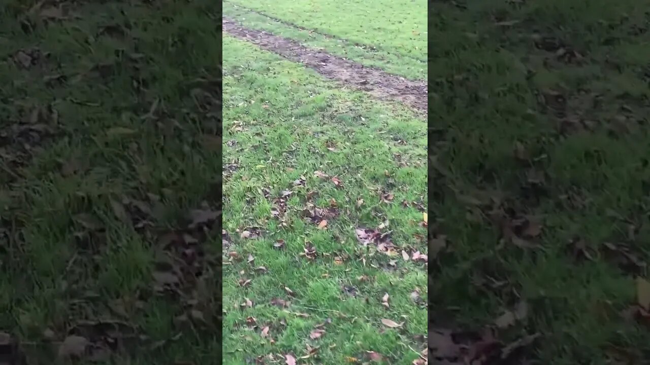 BBC staff at local stations are upset because some could be loosing jobs to save money.