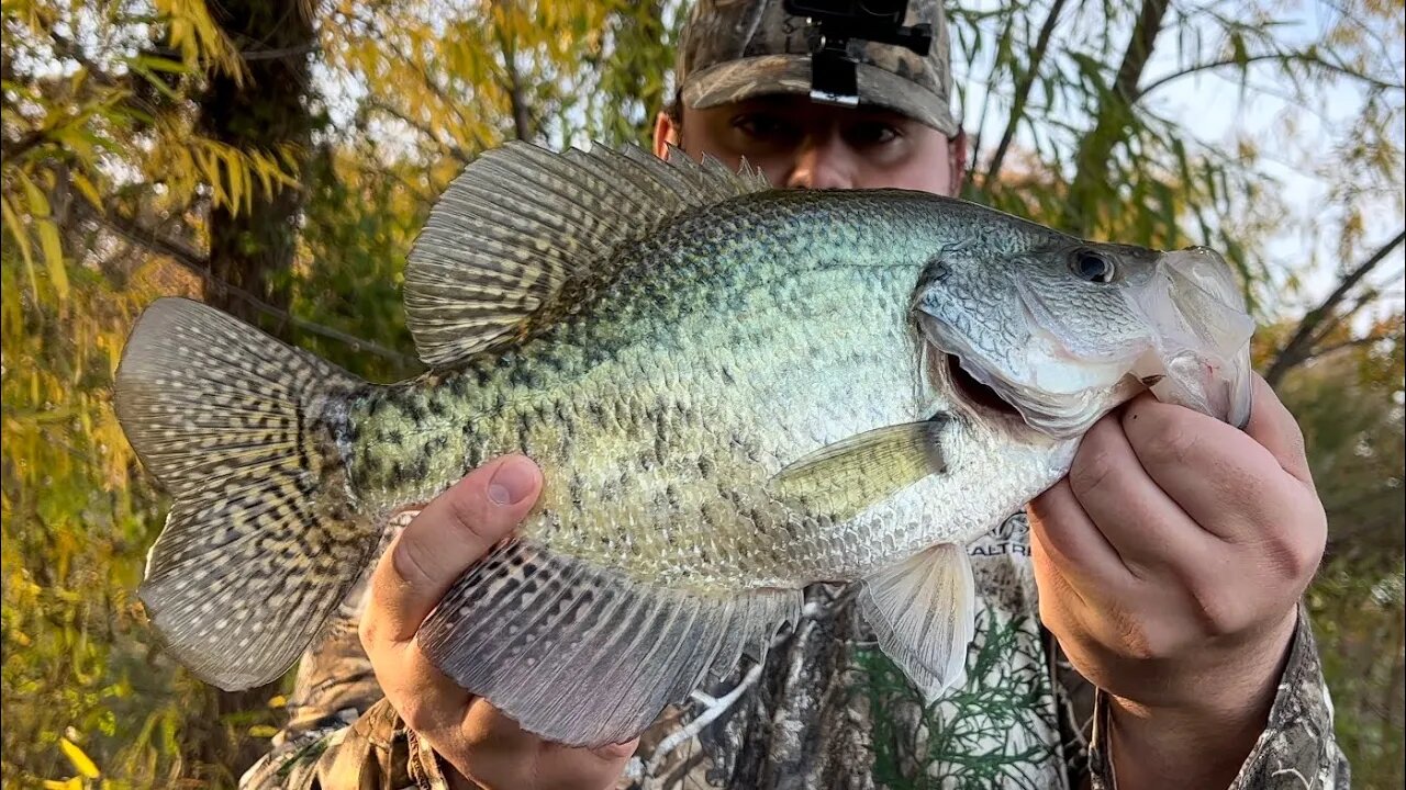 MONSTER CRAPPIE (NEW PB!)