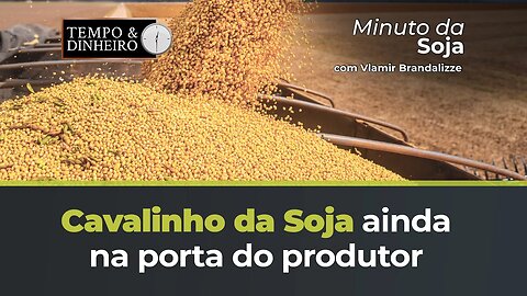 Cavalinho da Soja ainda na porta do produtor