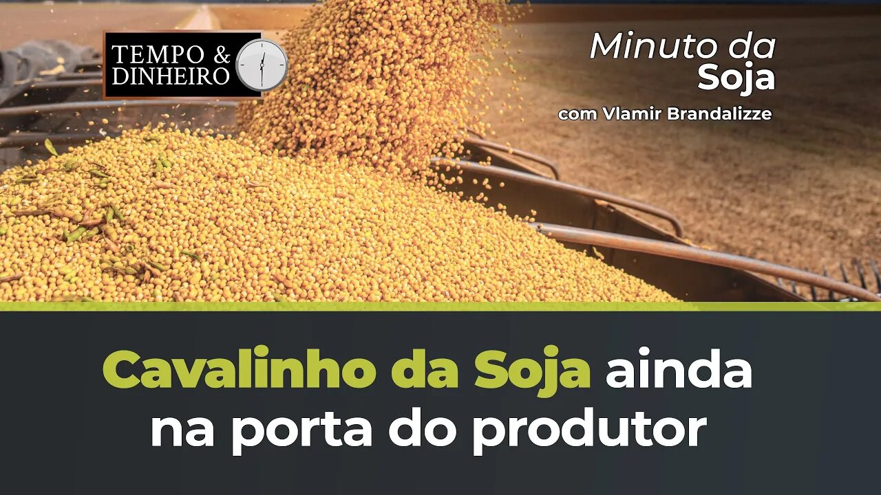 Cavalinho da Soja ainda na porta do produtor