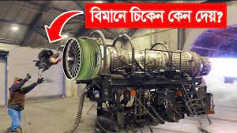 বিমান বানানোর সময় কেন চিকেন দিতে হয় ? How Airplane Engines Are Tested Bangla Mayajaal