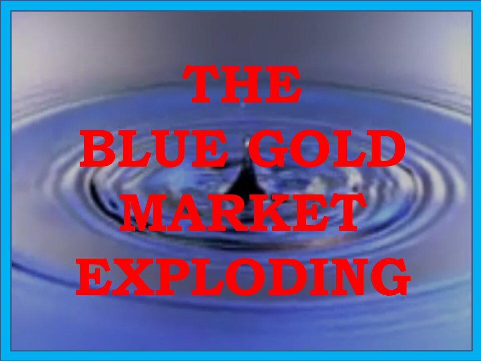 THE BLUE GOLD DISASTER