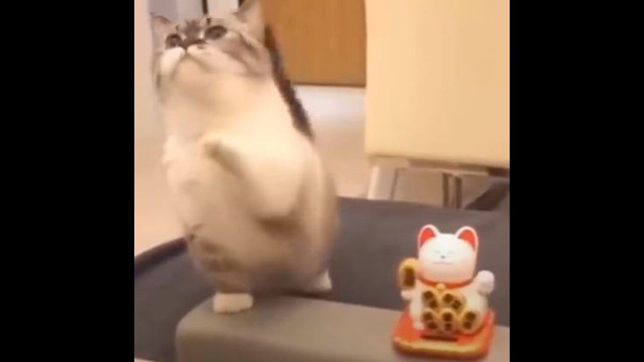 M....MY.... Heart