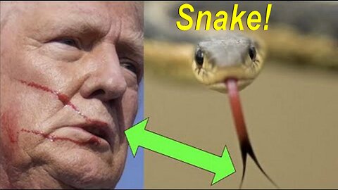 Psyop Pedo Trumps Serpent Tongue 'You Knew I Was A Snake Before You Took Me In!'