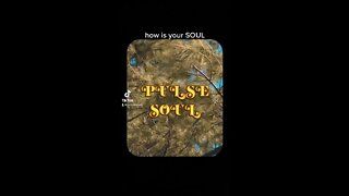 Get some SOUL