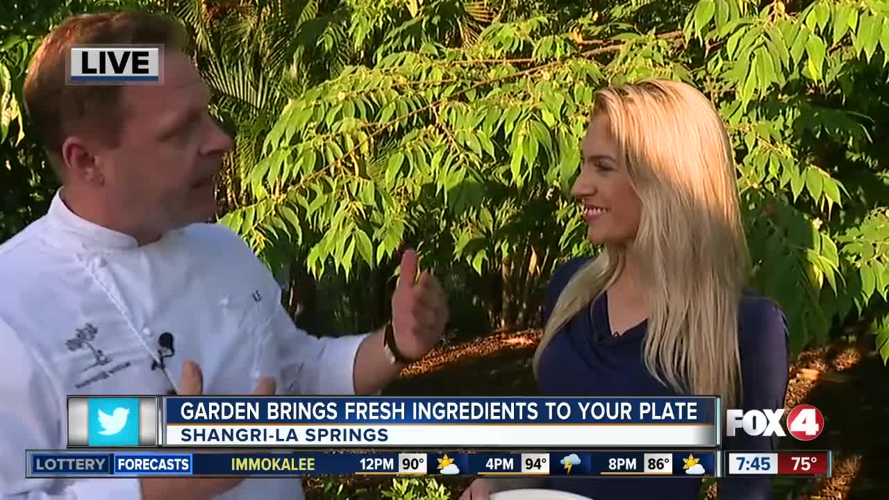 Shangri-la springs opens gardening classes, farm-to-table restaurant 7:30 a.m.