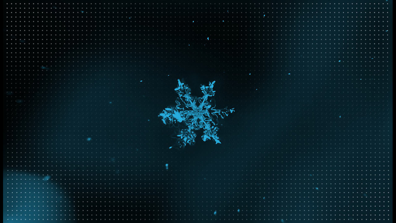 Snowflake melting | melting of snowflake | time-lapse |